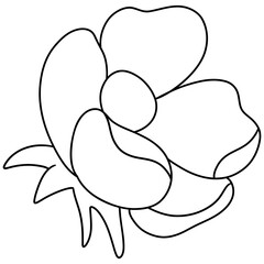 flower, Hand-drawn illustration, Spring season