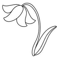 flower, Hand-drawn illustration, Spring season