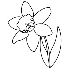 flower, Hand-drawn illustration, Spring season