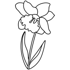 flower, Hand-drawn illustration, Spring season