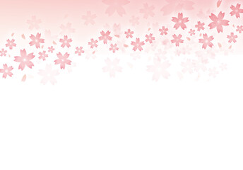 桜の背景