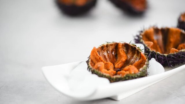 Sea Urchin with caviar close-up, on gray background. Fresh open sea urchins on a plate with ice, ready to eat. Border design, delicatessen food. Traditional Mediterranean food. Roe. Sea food. 