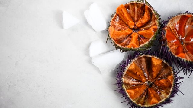 Sea Urchin with caviar close-up, on gray background. Fresh open sea urchins with ice, ready to eat. Border design, delicatessen food. Traditional Mediterranean food. Roe. Sea food. Top view.