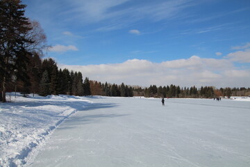 winter landscape with snow, William Hawrelak Park, Edmonton, Alberta