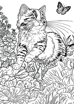 Coloring book for kids.Worksheets for teachers to teach.Cat walking in garden.