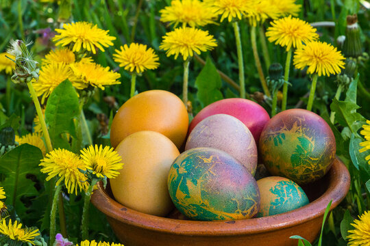 Coloeful easter eggs on pastel color background