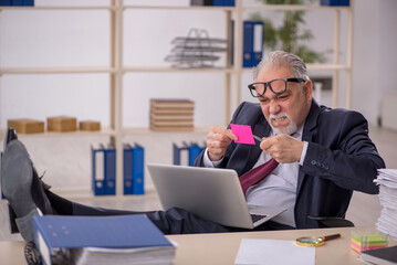 Old male boss working in the office