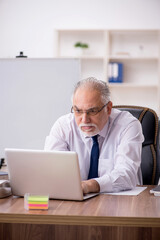 Old male employee working in the office