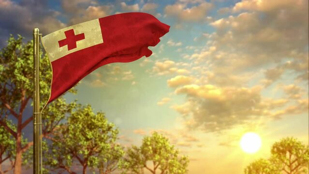 waving flag of Tonga at sundown for memorial day
