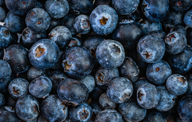 Blaubeeren