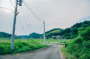 夏の田舎風景