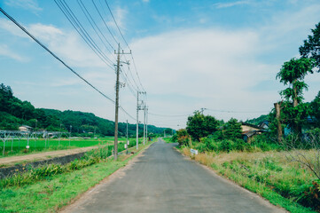Fototapeta na wymiar 夏の田舎風景
