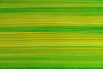 Beautiful green paint brush on yellow background. Abstract art background, Oil paint on cement...