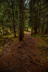 Obraz premium Mountain path in high mountains 