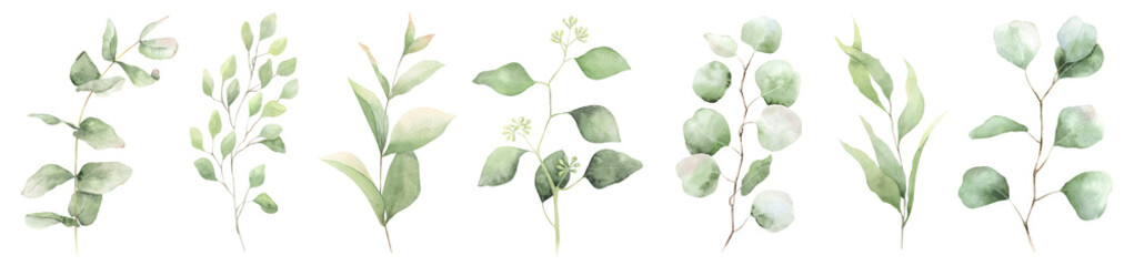 Set of green eucalyptus branches with leaves. Abstract greenery. Hand-drawn illustration. For wedding invitations, postcard design and stationery. © Fedulova_art