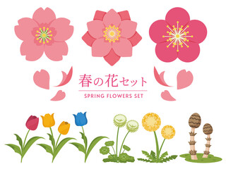 Obraz premium 春の花セット