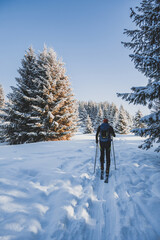 Mountaineer backcountry ski walking ski alpinist in the mountains. Ski touring in alpine landscape with snowy trees. Adventure winter sport. Kralova hola, Slovakia © Zedspider