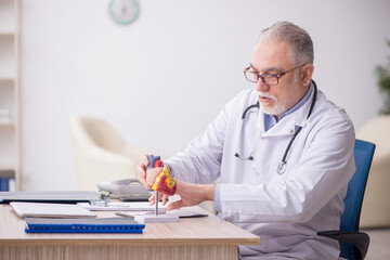 Old male doctor cardiologist working at the hospital