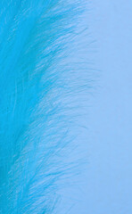 Background with part of blue artificial feather