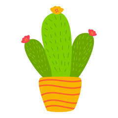 Cactus Illustration