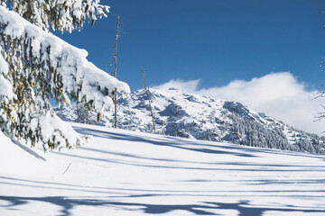 Alpine mountains landscape with white snow and blue sky. Sunset winter in nature. Frosty trees under warm sunlight.  Hiking winter to kralova hola, low tatras slovakia landscape © Zedspider