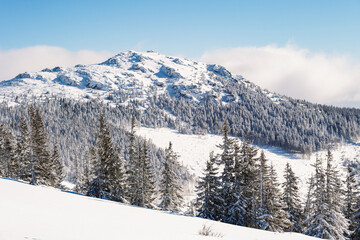 Alpine mountains landscape with white snow and blue sky. Sunset winter in nature. Frosty trees under warm sunlight.  Hiking winter to kralova hola, low tatras slovakia landscape © Zedspider