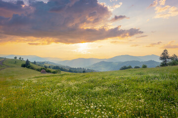 Obraz premium Picturesque scenery of summer green hills under gorgeous sunset sky with clouds. Wildflowers on a green grass meadow.