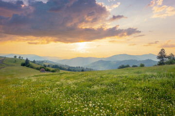 Picturesque scenery of summer green hills under gorgeous sunset sky with clouds. Wildflowers on a green grass meadow.