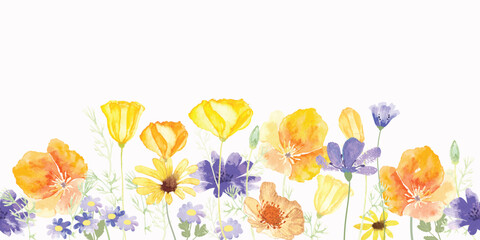 seamless minimal Hand drawn yellow California poppy flowers and leaf vector in Spring and summer collection with watercolor texture