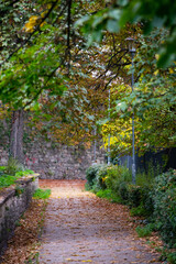 Autumn in Budapest, Hungary.