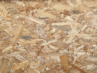Bark pattern is seamless texture from tree. For background wood work, Bark of brown hardwood, thick bark hardwood, residential house wood. nature, trunk, tree, bark, hardwood, trunk, tree, trunk