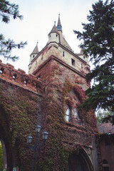 Vajdahunyad castle in Budapest in magic autumn colors.