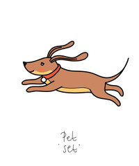 Color clip art of a pet on a white or transparent background. From a vector large set. Hare, hamster, cat, dog, mouse, raccoon, fox, kittens, toys, parrot