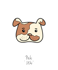 Color clip art of a pet on a white or transparent background. From a vector large set. Hare, hamster, cat, dog, mouse, raccoon, fox, kittens, toys, parrot