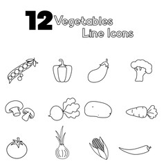 set of vegetables icons