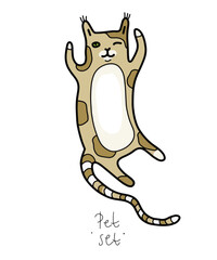Color clip art of a pet on a white or transparent background. From a vector large set. Hare, hamster, cat, dog, mouse, raccoon, fox, kittens, toys, parrot