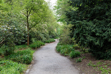 Walkway with trees and plants in park