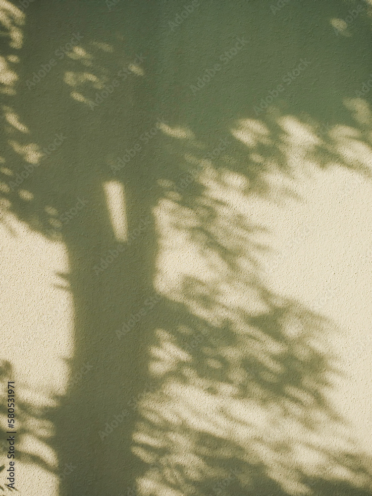 Poster tree leaves shadow on wall nature abstract background