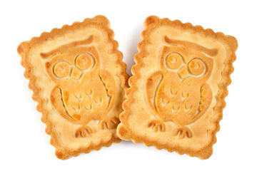 A pair of cookies with the image of an owl. Cookies on a white background.