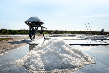 salt truck of coastal farmers