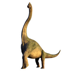 Brachiosaurus altithorax from the Late Jurassic,  isolated on transparent background 