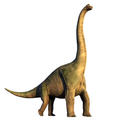 Brachiosaurus altithorax from the Late Jurassic, isolated on transparent background 