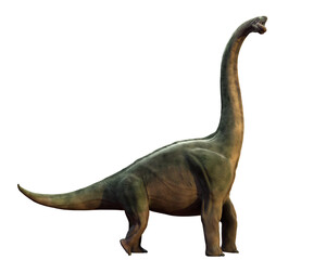 Brachiosaurus altithorax from the Late Jurassic, isolated on transparent background, side view