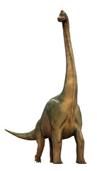 Brachiosaurus altithorax, prehistoric animal from the Late Jurassic, isolated on transparent background © dottedyeti