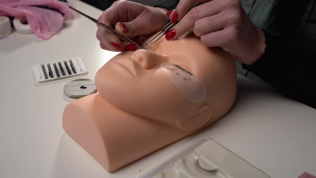 Eyelash extension procedure. Woman master making fake long lash on mannequin head. Concept of basic training to build eyelashes