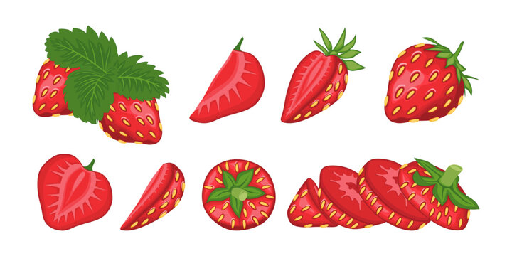 Set of Strawberries Fruit berry vector illustration in cartoon style. Healthy nutrition, organic food, vegetarian product.