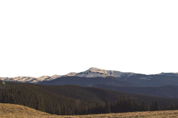 Pine forest hills with peaceful mountains isolated PNG photo with transparent background