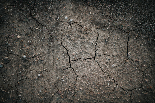 Close-up of cracked field