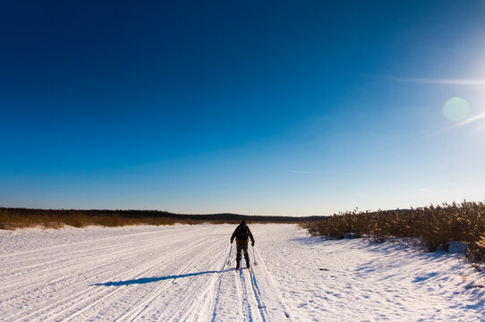 Rear view of man skiing on snow covered field against blue sky