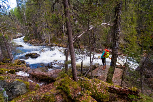 High angle view of female hiker looking at view while standing on rocks in forest